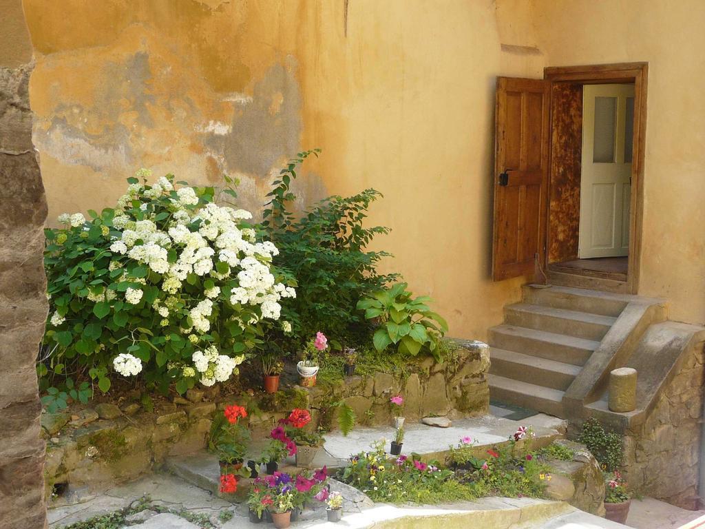 Appartamento Casa Cojo Sighişoara Camera foto
