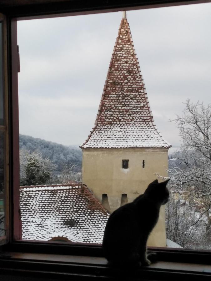 Appartamento Casa Cojo Sighişoara Esterno foto