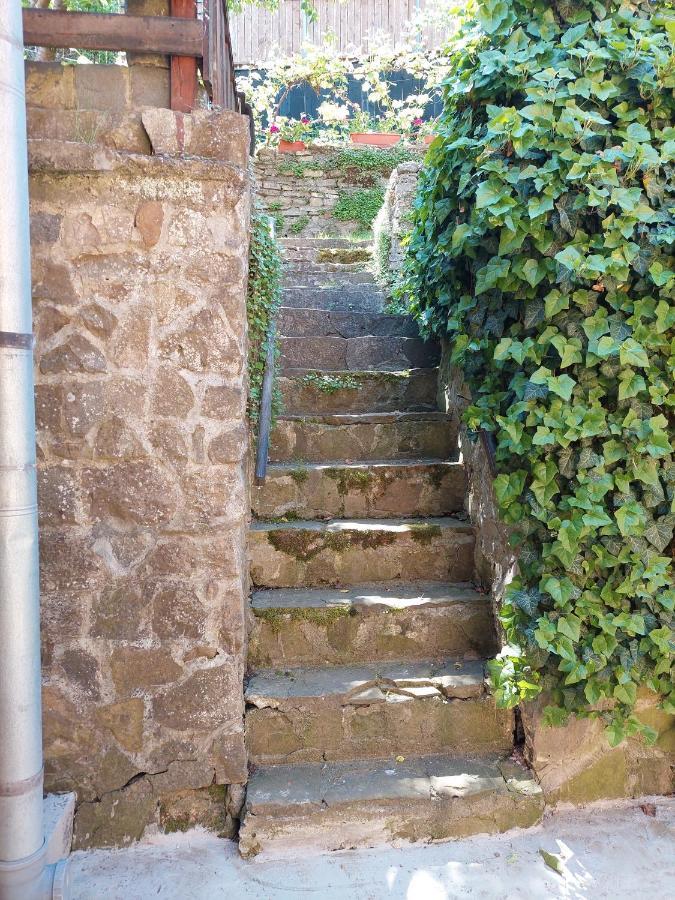 Appartamento Casa Cojo Sighişoara Esterno foto